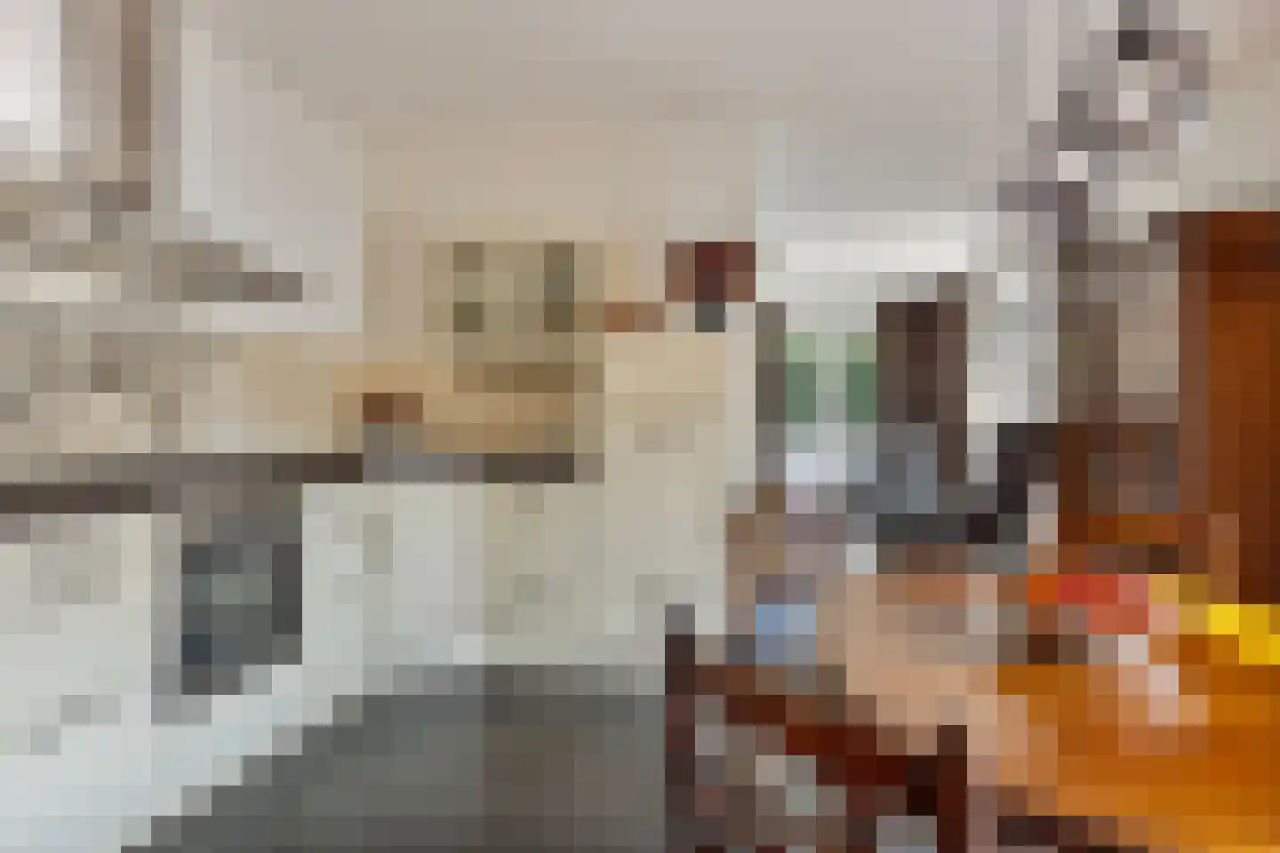 Balsahout 2 Assen thumbnail 10
