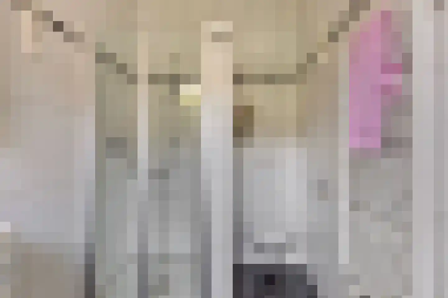 Balsahout 2 Assen thumbnail 17