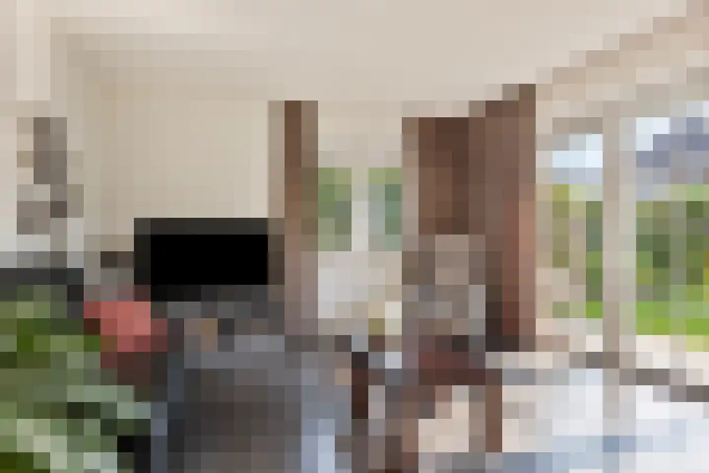 Balsahout 2 Assen thumbnail 6