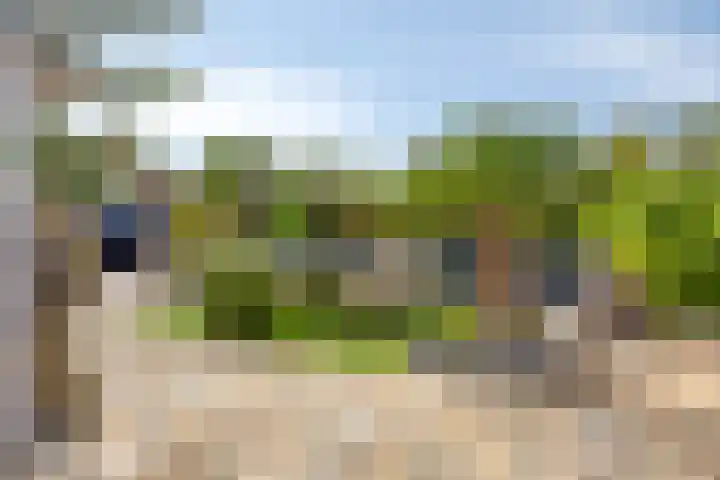 Balsebaan 11 Bergen op Zoom thumbnail 31