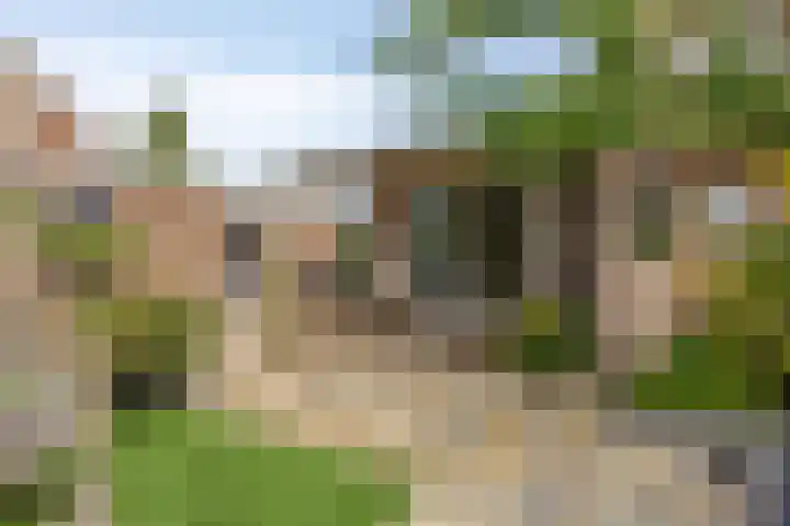 Balsebaan 11 Bergen op Zoom thumbnail 32