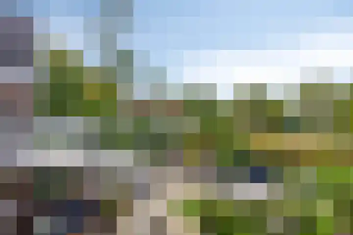 Balsebaan 11 Bergen op Zoom thumbnail 46