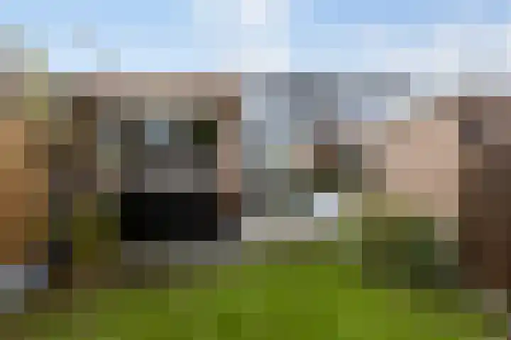 Balsebaan 13 Bergen op Zoom thumbnail 47