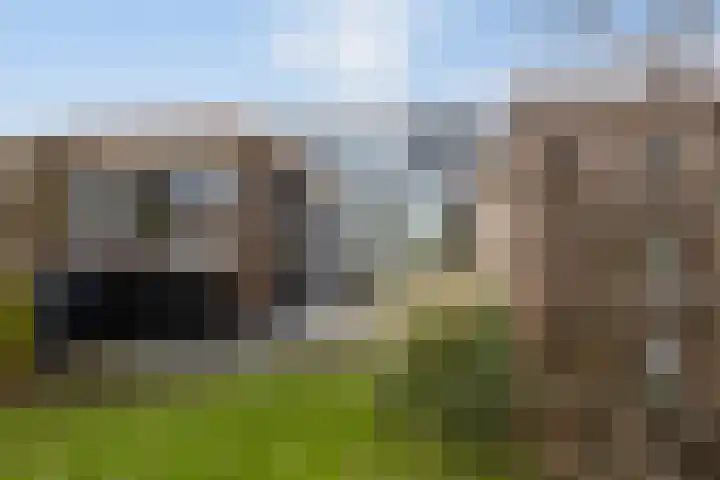 Balsebaan 13 Bergen op Zoom thumbnail 48