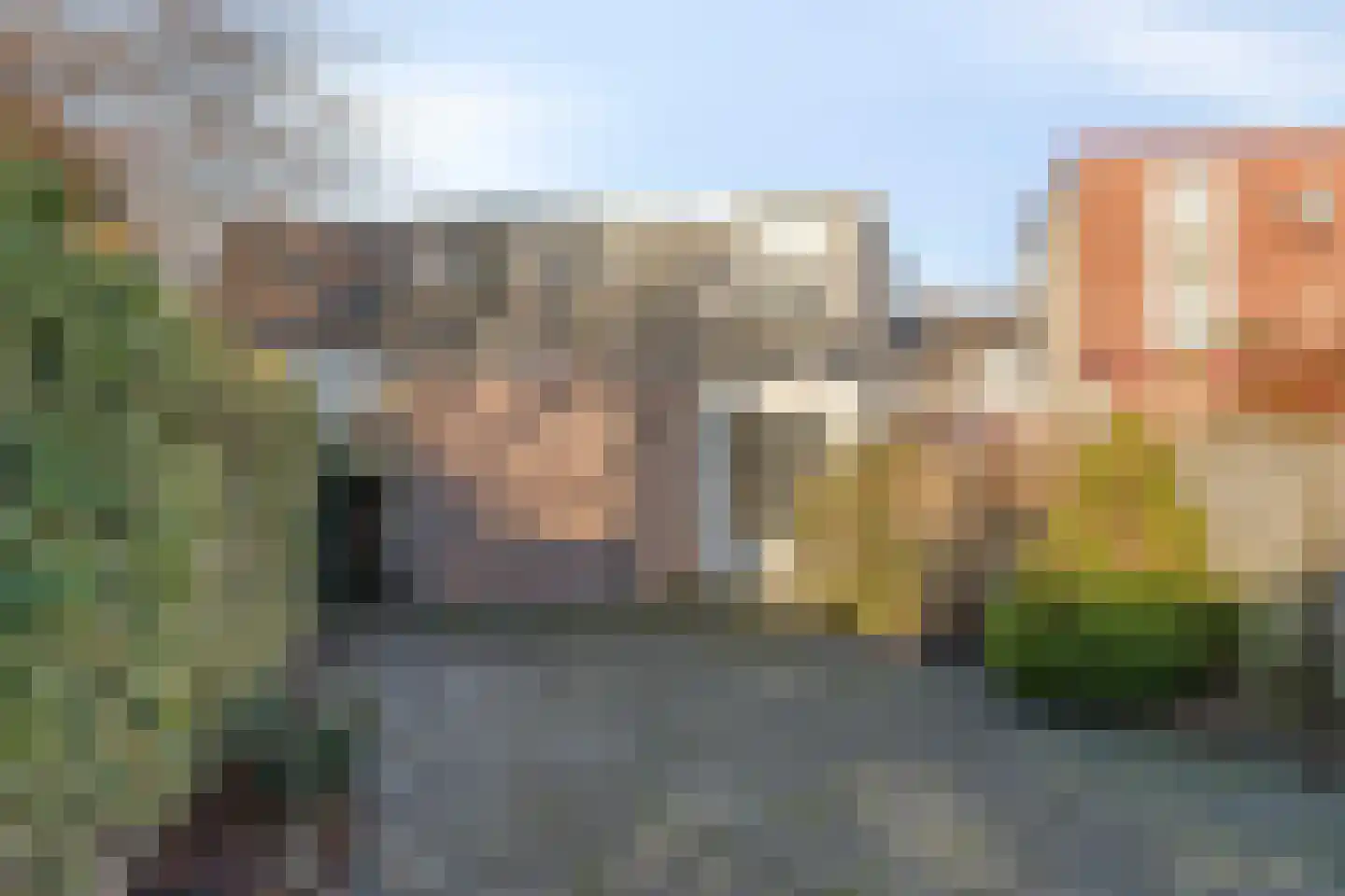 Balsebaan 8 Bergen op Zoom thumbnail 27