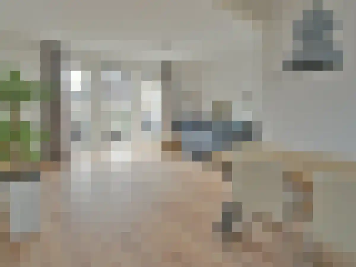 Balsemien 4 Leek thumbnail 6