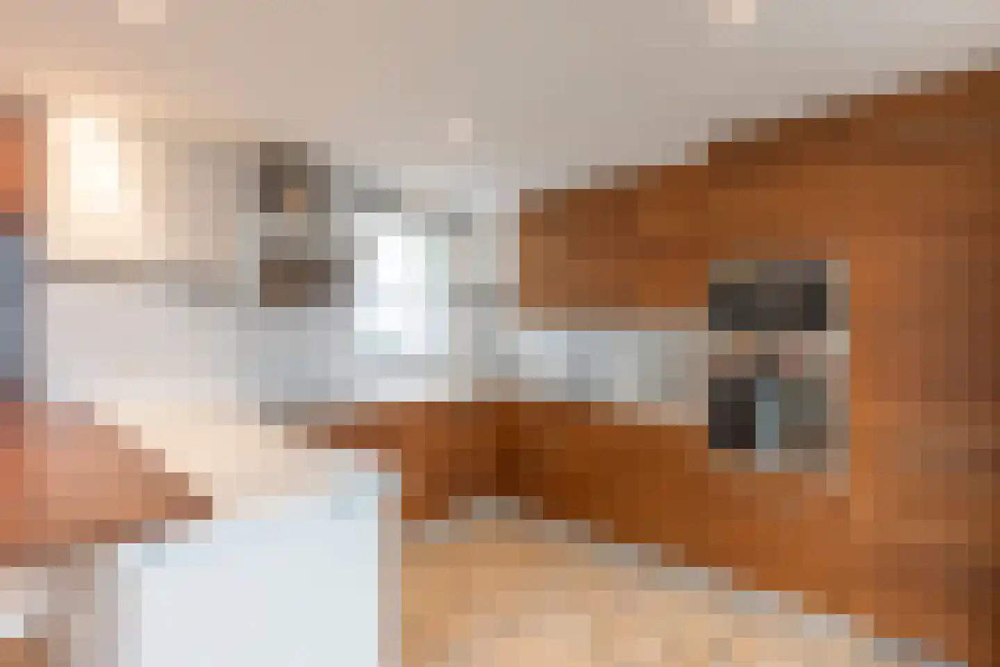 Balsemienbeemd 21 Maastricht thumbnail 7