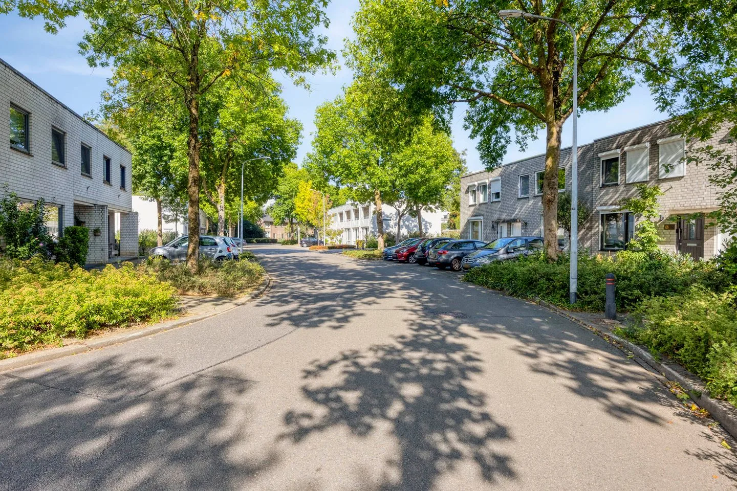 Balsemienbeemd 31 Maastricht thumbnail 10