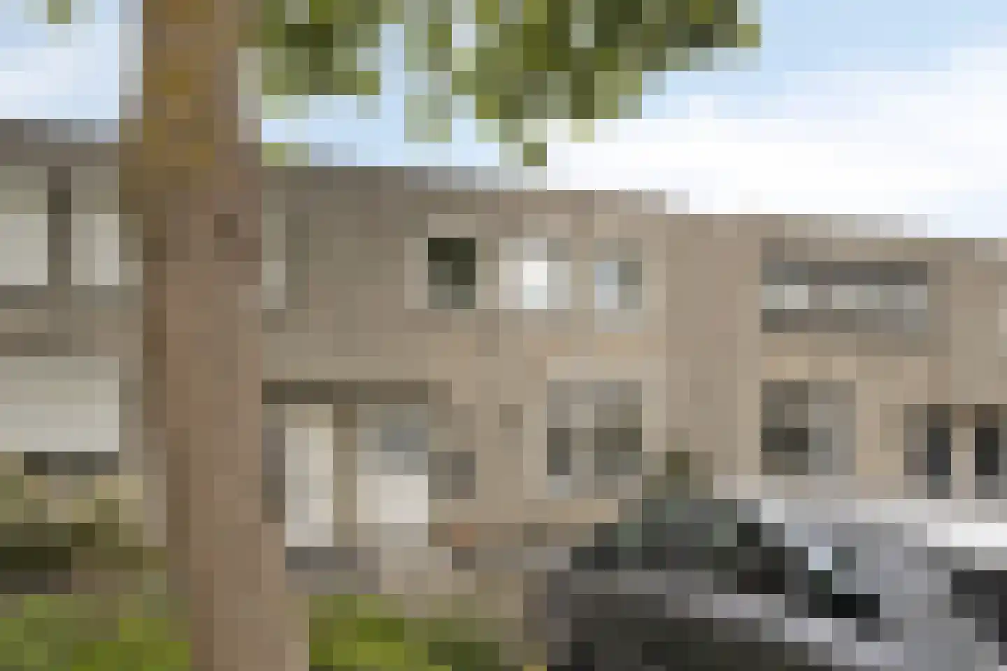 Balsemienbeemd 35 Maastricht thumbnail 33