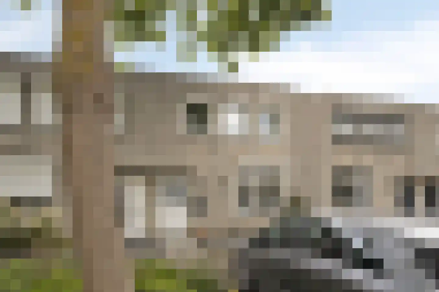 Balsemienbeemd 35 Maastricht thumbnail 33