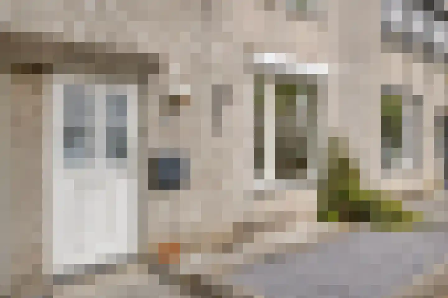 Balsemienbeemd 35 Maastricht thumbnail 4