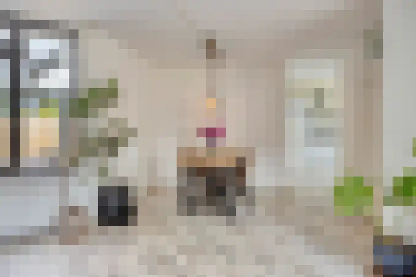 Balsemienbeemd 60 Maastricht thumbnail 7