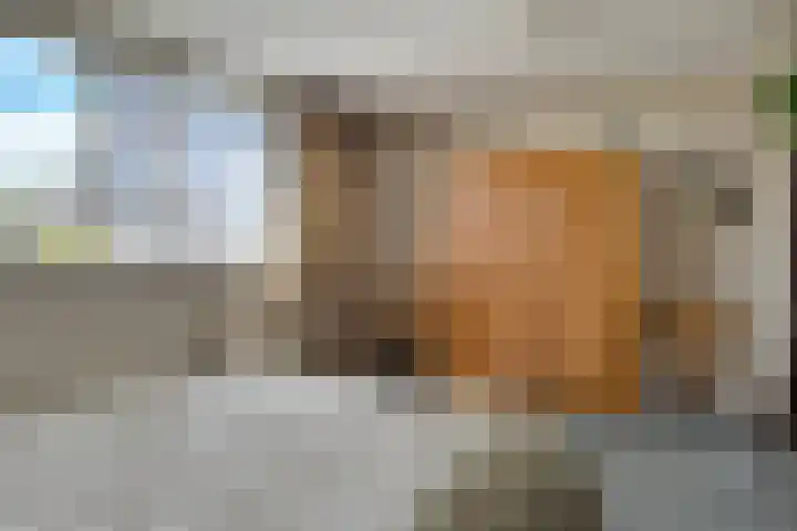 Balsemienberg 15 Roosendaal thumbnail 14