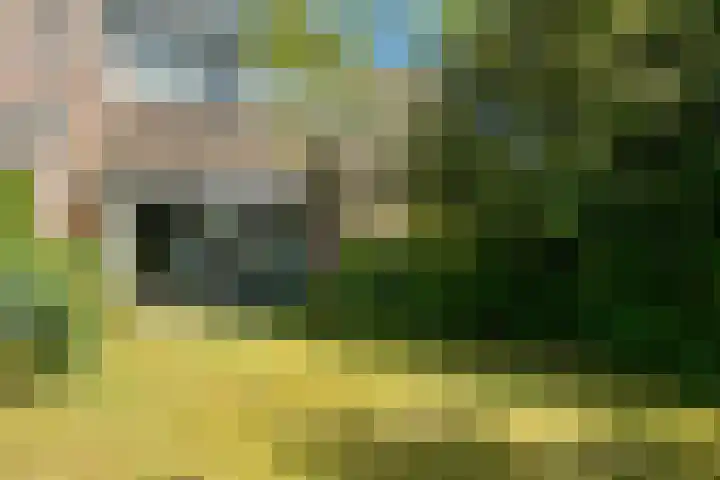 Balsemienberg 15 Roosendaal thumbnail 24
