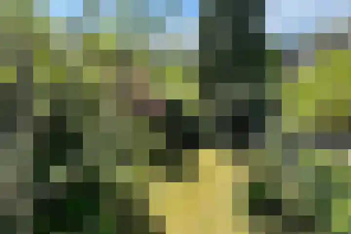 Balsemienberg 15 Roosendaal thumbnail 26