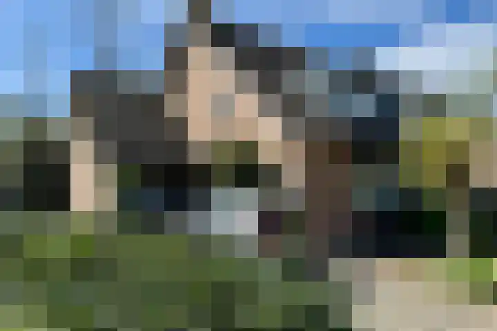 Balsemienberg 15 Roosendaal thumbnail 27