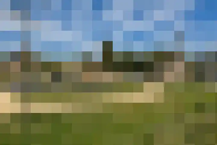 Balsemienberg 15 Roosendaal thumbnail 31