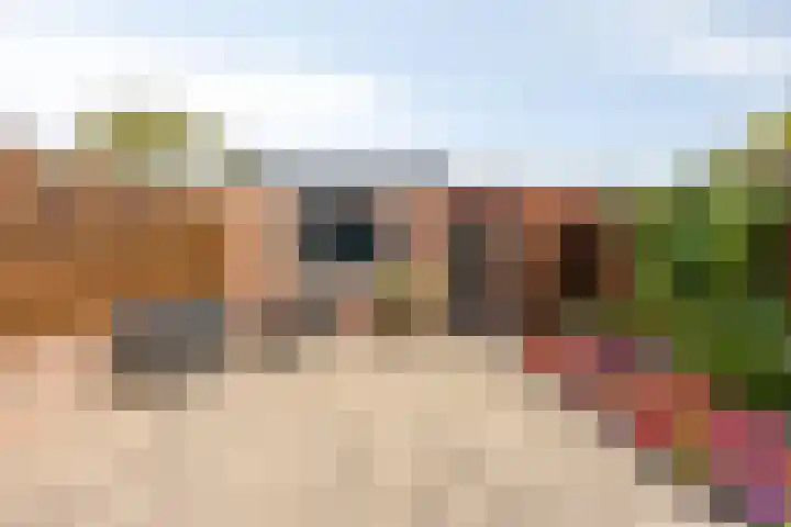 Balsemienberg 19 Roosendaal thumbnail 31