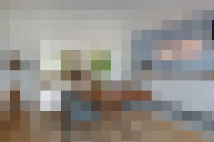 Balsemienlaan 112 Den Haag thumbnail 17