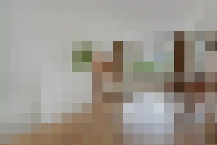 Balsemienlaan 112 Den Haag thumbnail 18
