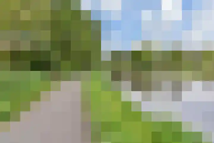 Balsemienlaan 112 Den Haag thumbnail 4