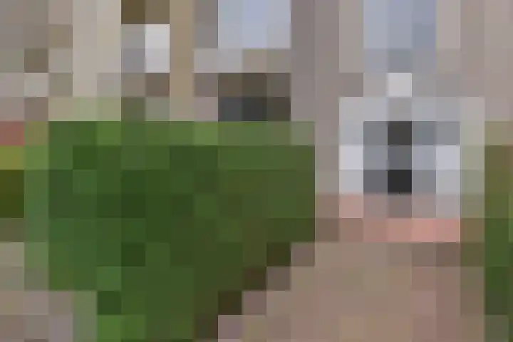 Balsemienlaan 112 Den Haag thumbnail 7