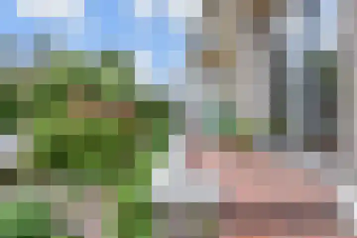 Balsemienlaan 112 Den Haag thumbnail 8