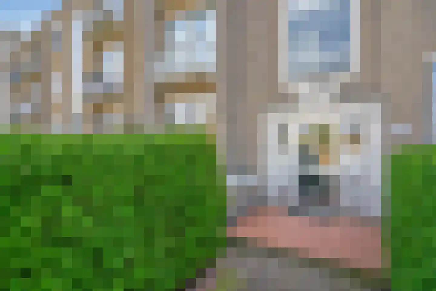 Balsemienlaan 116 Den Haag thumbnail 7