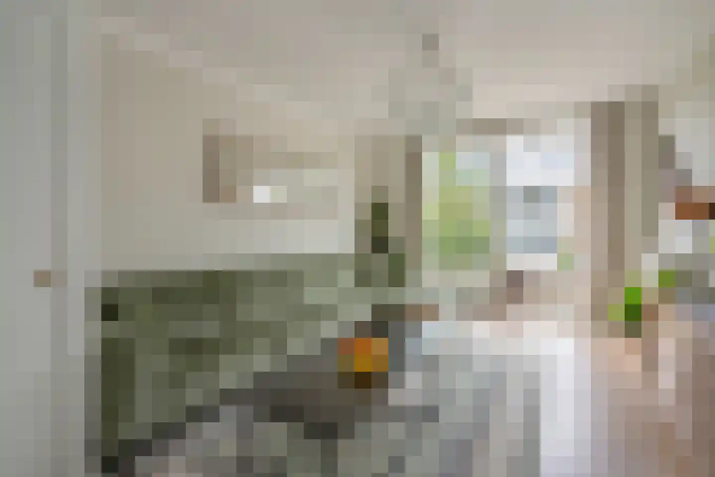 Balsemienlaan 174 Den Haag thumbnail 16