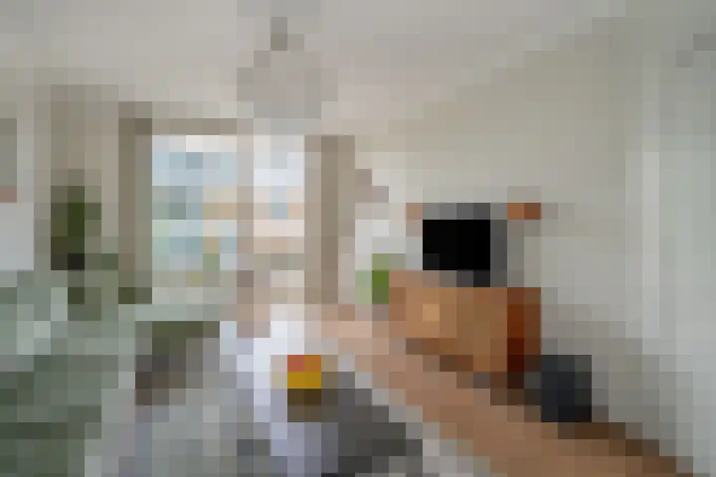 Balsemienlaan 174 Den Haag thumbnail 17
