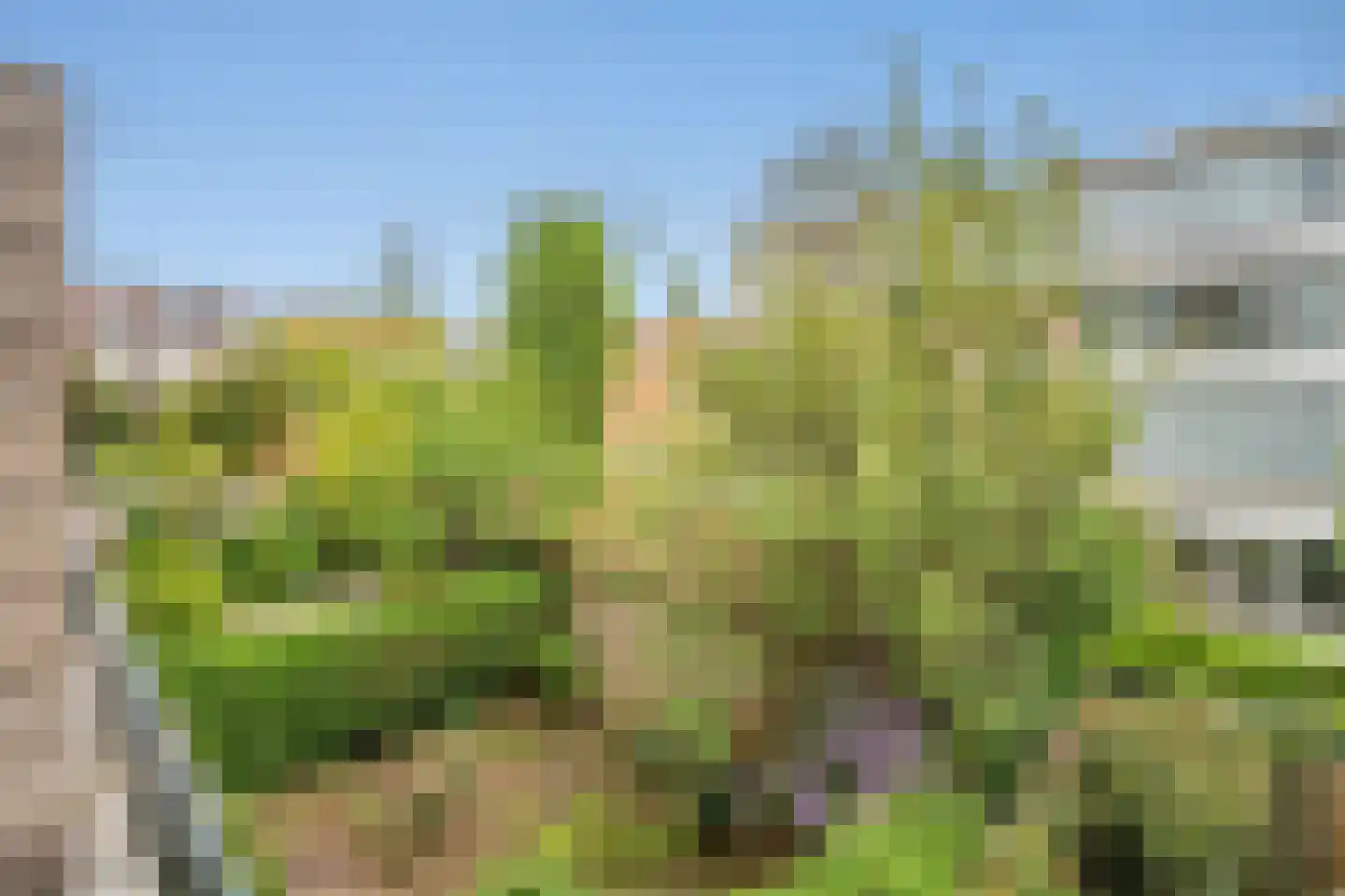 Balsemienlaan 174 Den Haag thumbnail 19