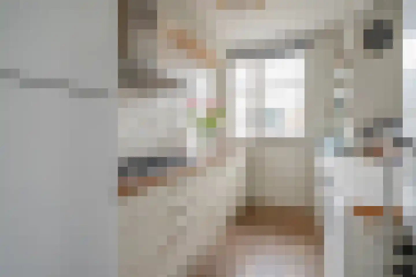 Balsemienlaan 174 Den Haag thumbnail 21