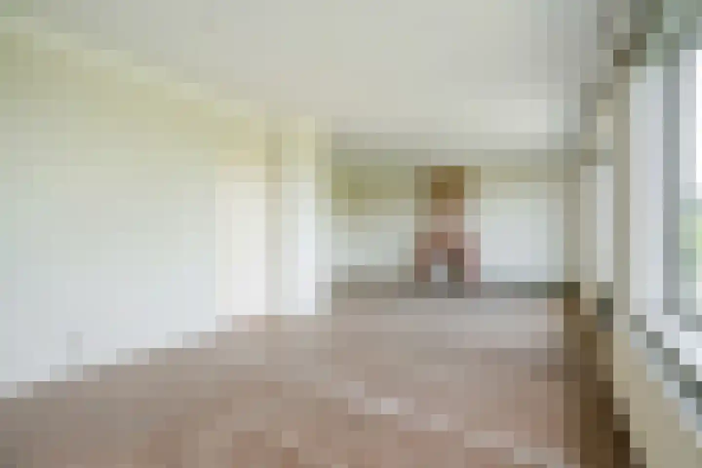 Balsemienlaan 206 Den Haag thumbnail 10