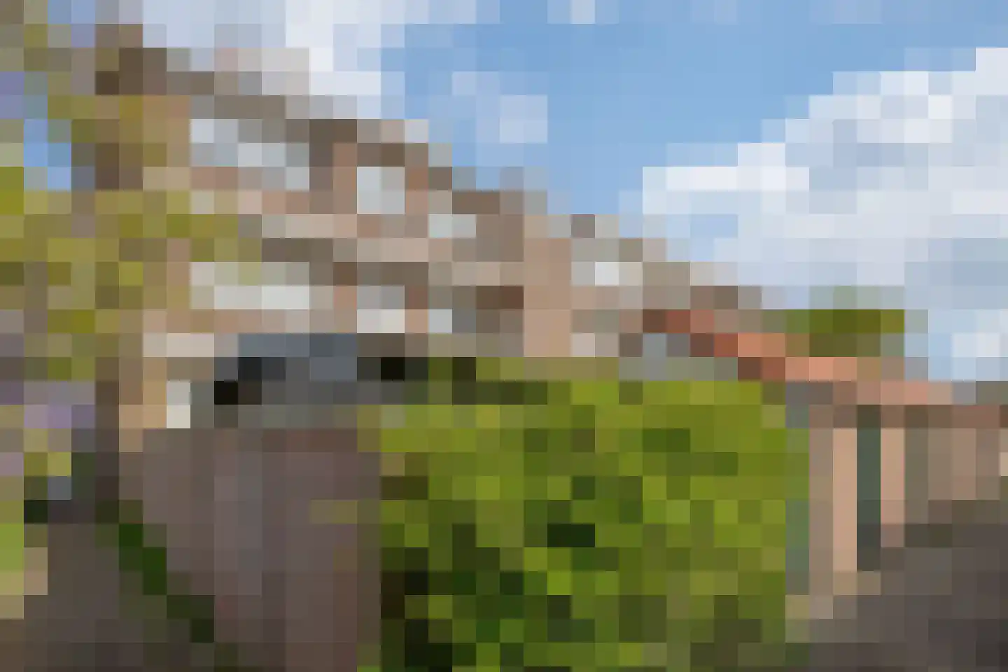 Balsemienlaan 206 Den Haag thumbnail 34
