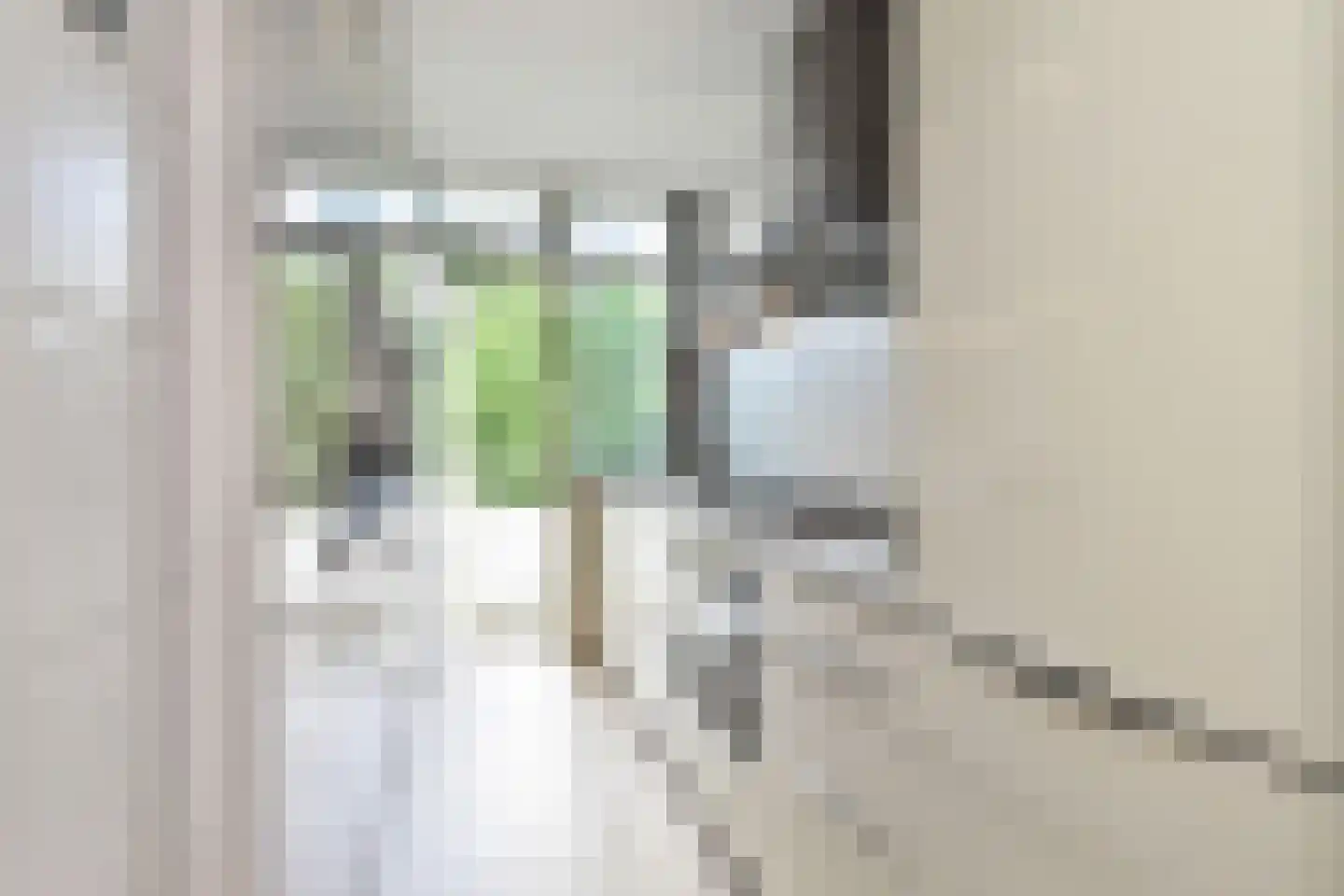 Balsemienlaan 216 Den Haag thumbnail 21