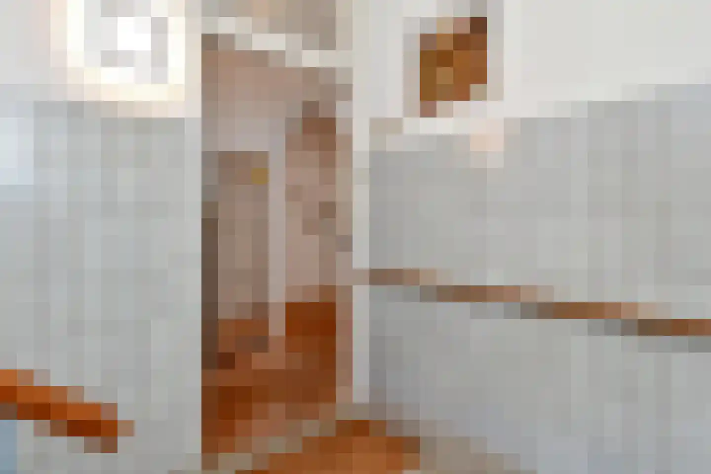 Balsemienlaan 216 Den Haag thumbnail 9