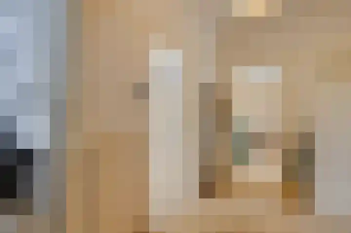 Balsemienlaan 22 Den Haag thumbnail 12