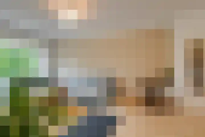 Balsemienlaan 22 Den Haag thumbnail 13