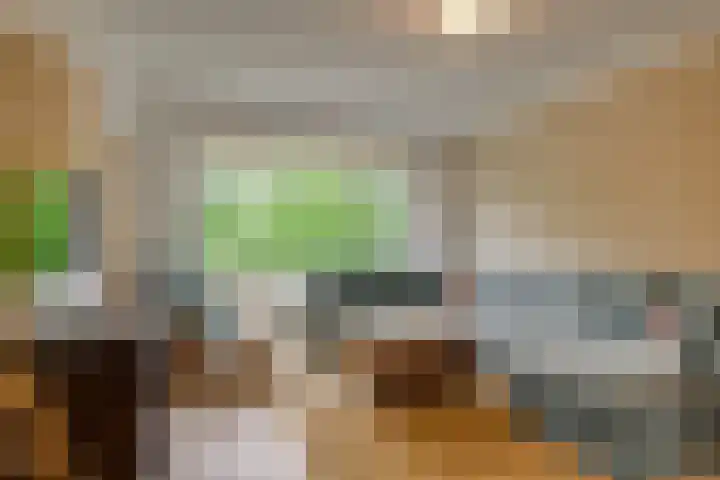 Balsemienlaan 22 Den Haag thumbnail 14