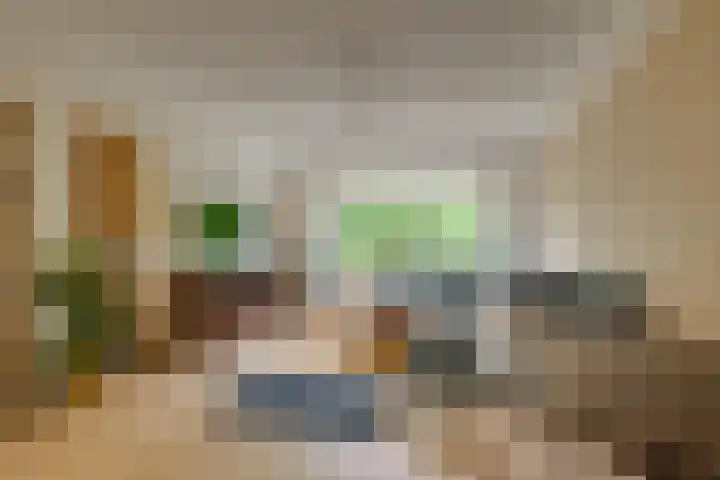 Balsemienlaan 22 Den Haag thumbnail 19