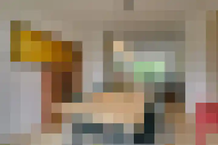Balsemienlaan 22 Den Haag thumbnail 20