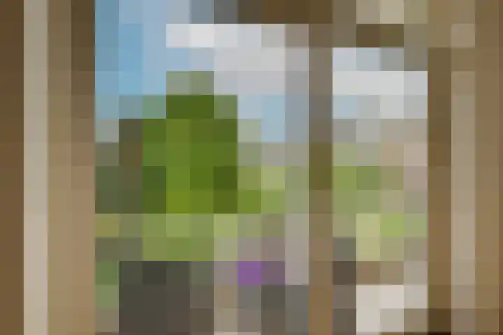 Balsemienlaan 22 Den Haag thumbnail 22