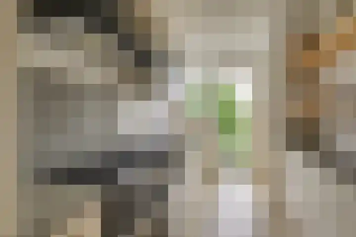 Balsemienlaan 22 Den Haag thumbnail 23