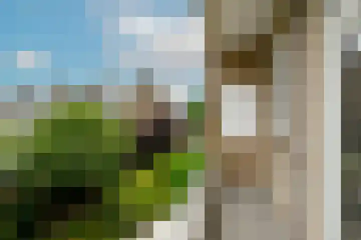 Balsemienlaan 22 Den Haag thumbnail 26