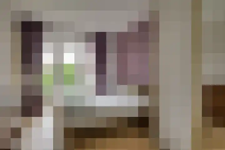 Balsemienlaan 22 Den Haag thumbnail 28
