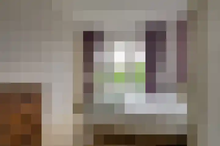 Balsemienlaan 22 Den Haag thumbnail 29
