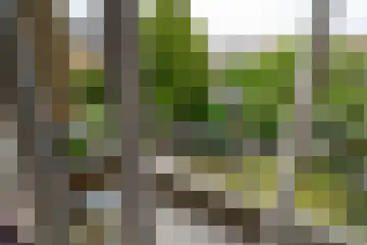 Balsemienlaan 22 Den Haag thumbnail 31