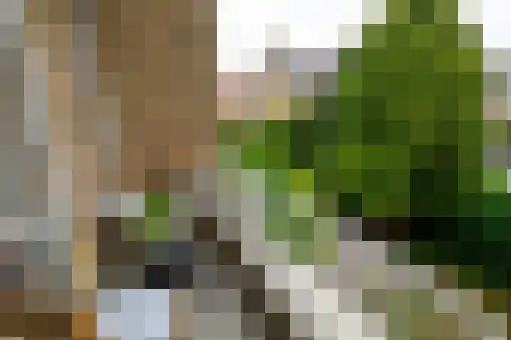 Balsemienlaan 22 Den Haag thumbnail 32