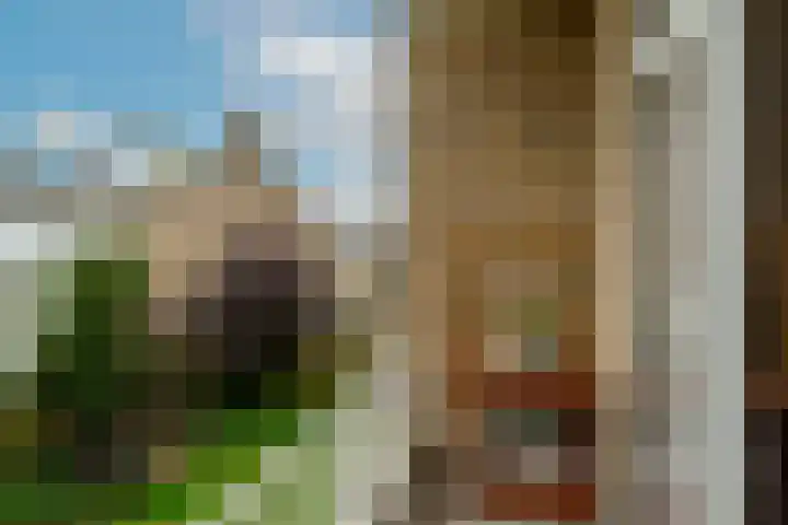 Balsemienlaan 22 Den Haag thumbnail 33