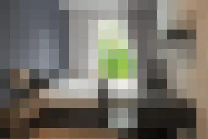 Balsemienlaan 22 Den Haag thumbnail 36